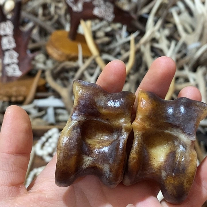 石英石非金属鹿骨鹿骨