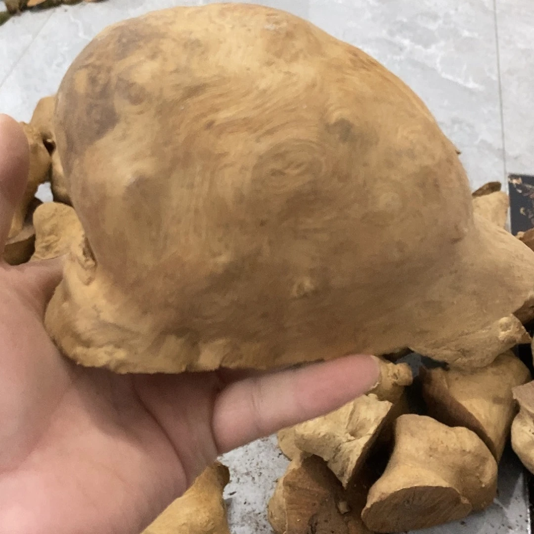 龙***舞荔枝木荔枝木原料