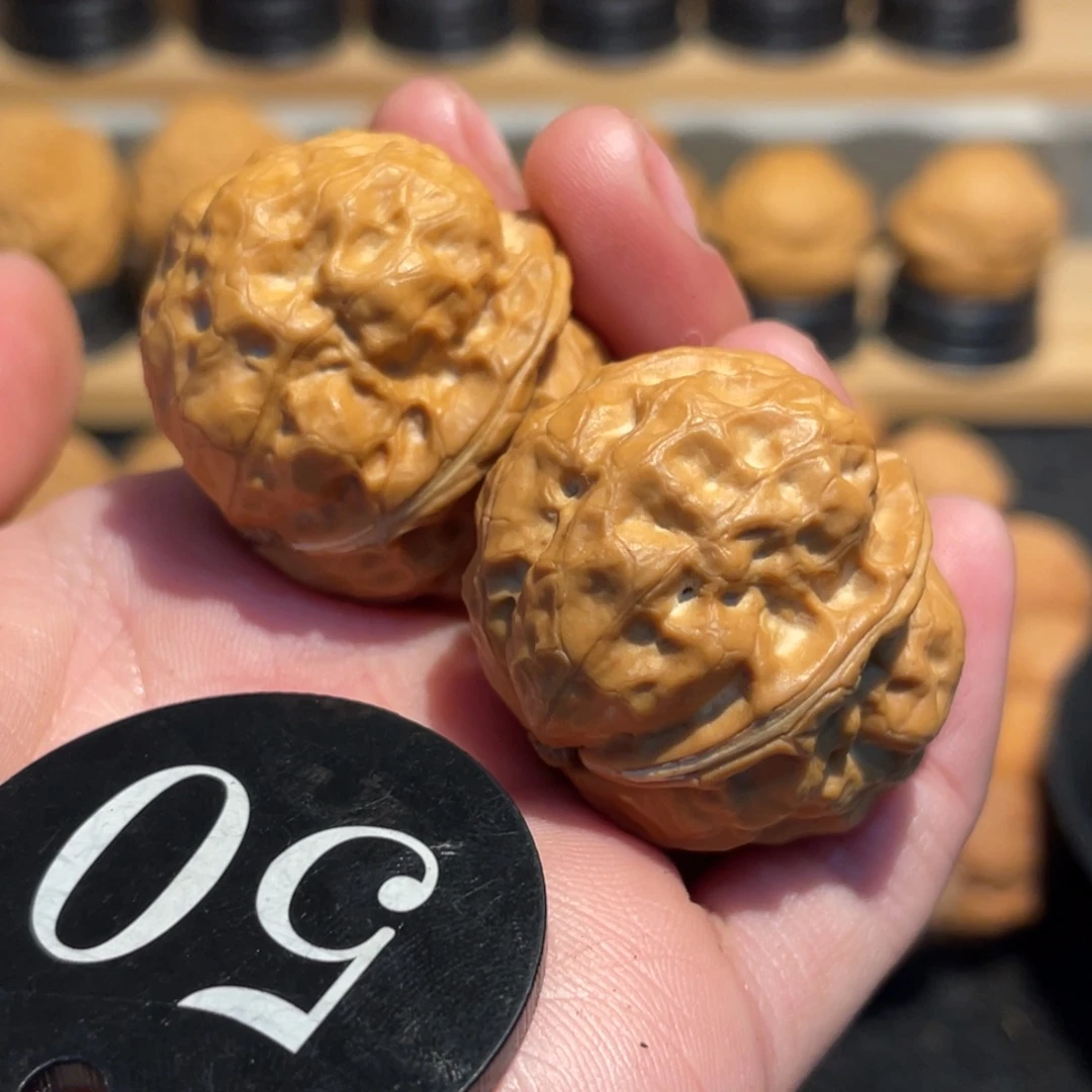 粗筋帝王蟾核桃34。