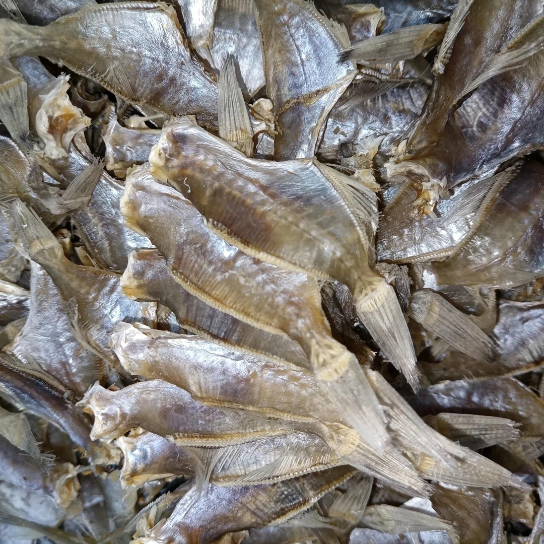 潮汕特产迪仔干500g