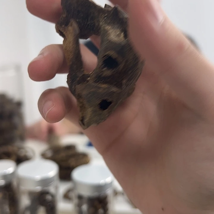 手串沉香熏香料沉香