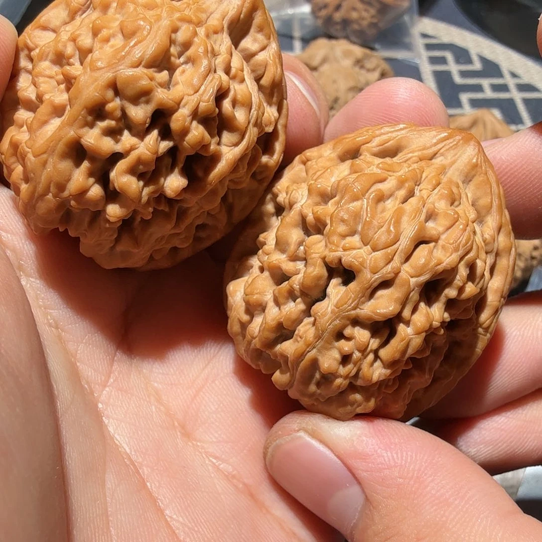 文玩核桃把件蚂蚁王