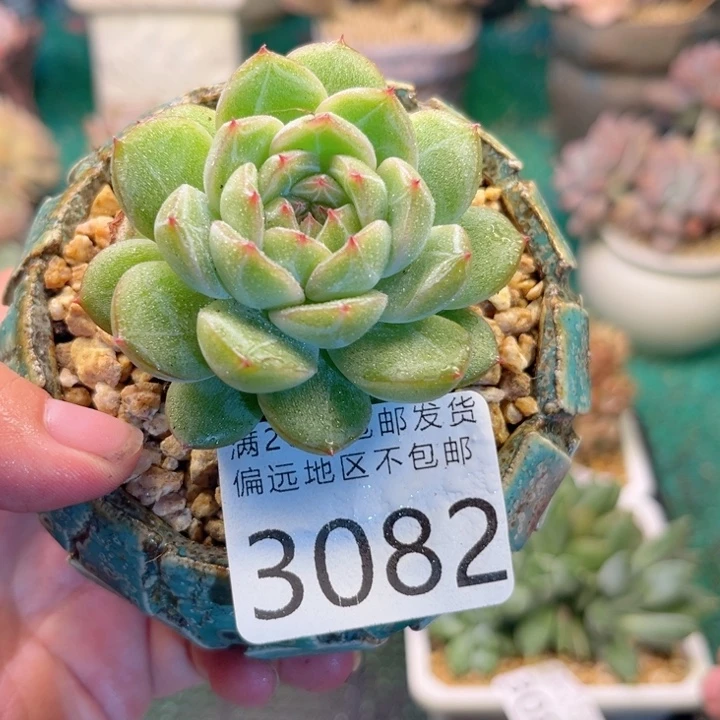 大3082；xvxbcjhhjhhh