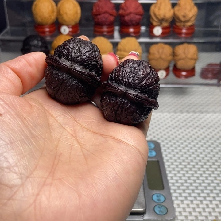 文玩核桃把件39蟒纹元宝地闷