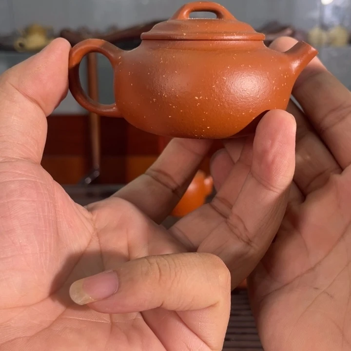 茶壶紫砂哈哈哈哈哈这个综艺节目真的是太棒啦