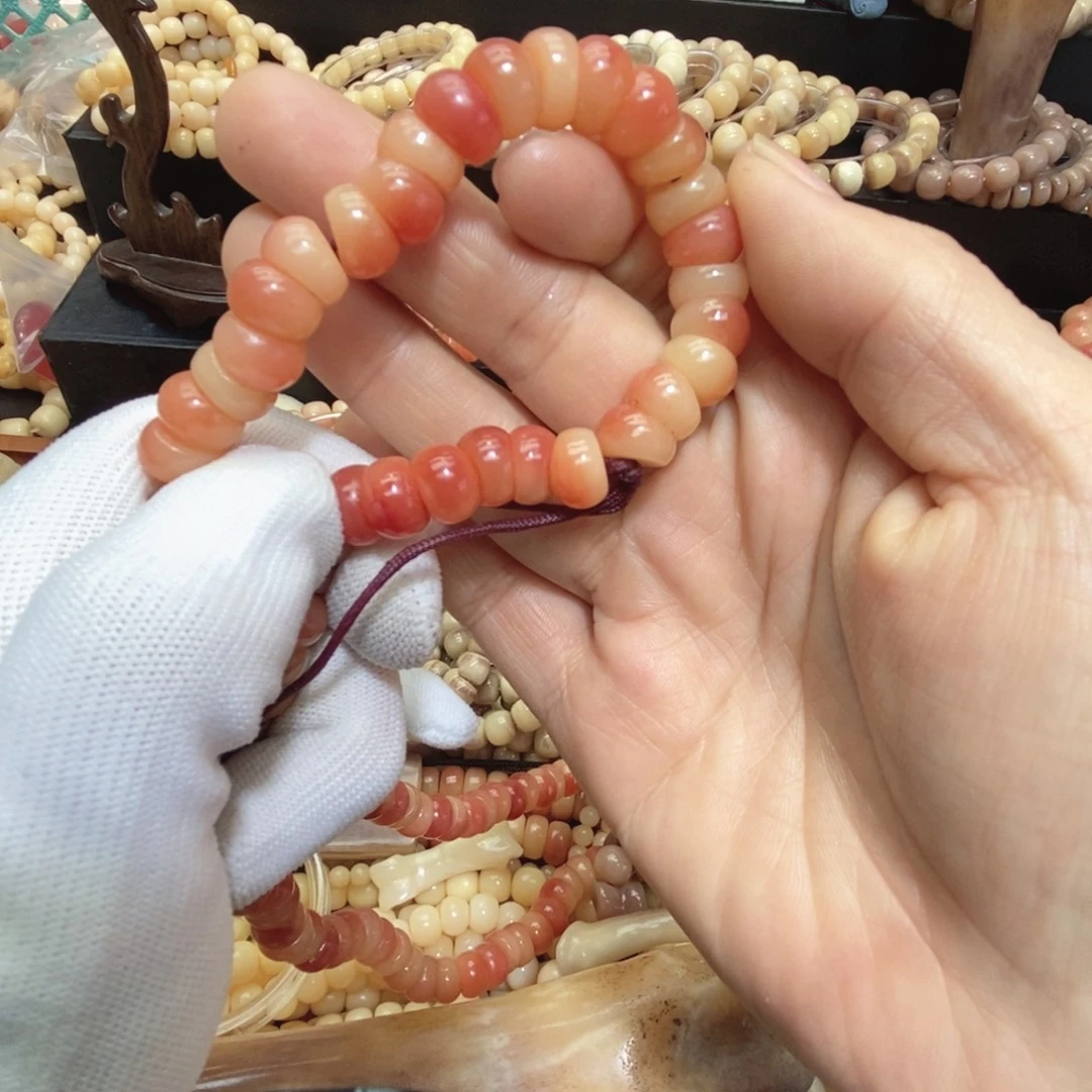 手串/手链驼骨大肠单圈10