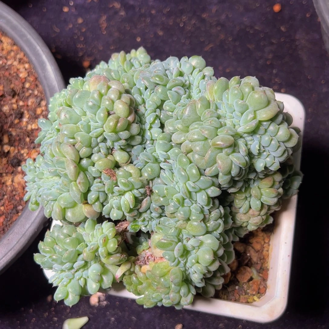 新年快乐 新年快乐