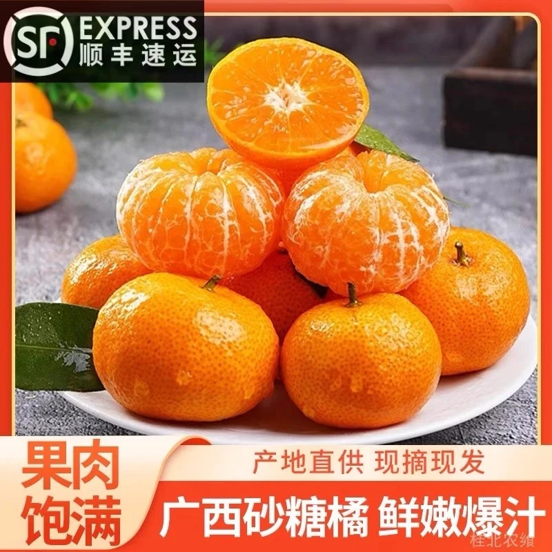 特惠 【顺丰次日达】纯甜金秋沙糖桔广西直采无渣顺丰包邮无籽包邮3斤/5斤/10斤广西壮族自治区