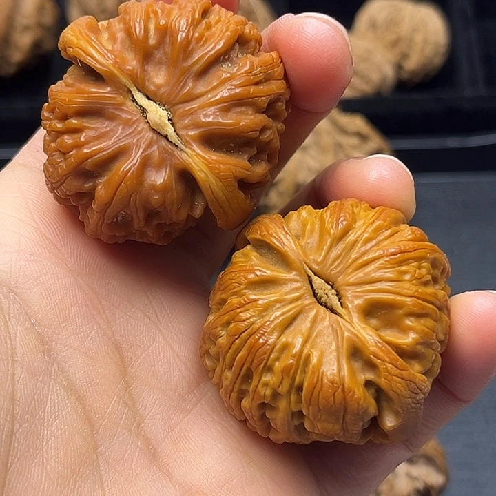 木质类秦岭突突突突突