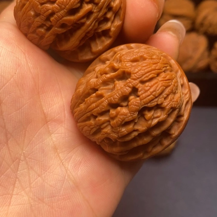 秦岭野生核桃111