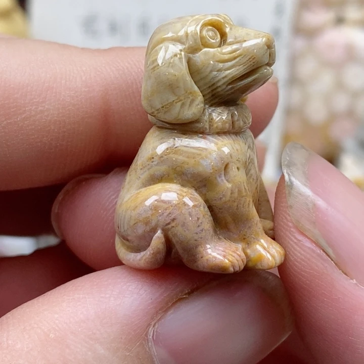 颈饰未镶嵌硅化珊瑚（珊瑚玉）