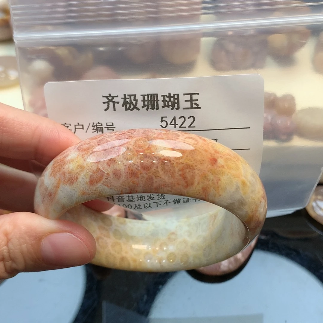 未镶嵌手镯硅化珊瑚（珊瑚玉）牛**饼