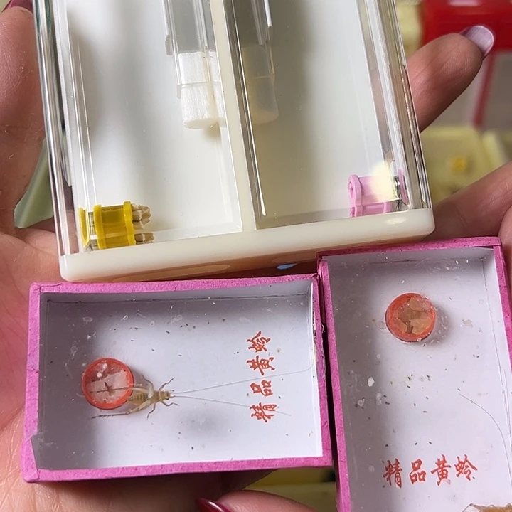 用***5蟋蟀哈哈哈哈哈哈哈哈哈哈