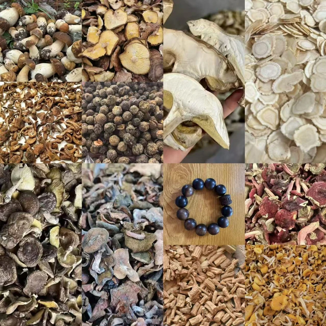 ADS488土特产菌/多样性发货