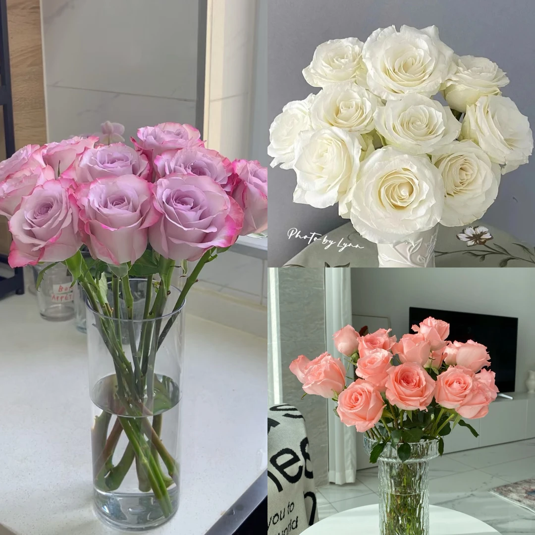 特价【鲜花次日达】月光三重奏组合款（任意两单有送小礼品）