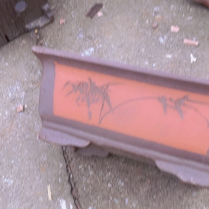 紫砂31红色马槽海洋食品海洋食品