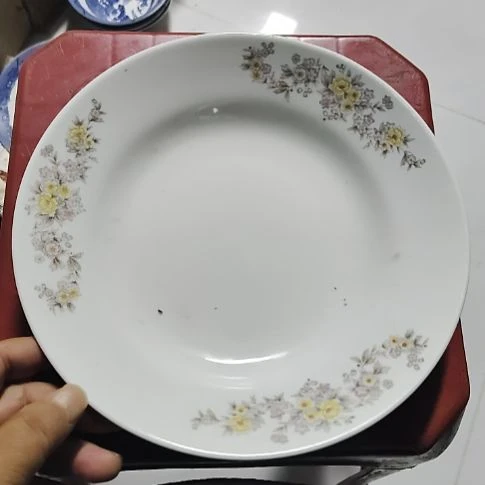 瓷片瓷片，各种摆件，均有瑕疵。沙锅！
