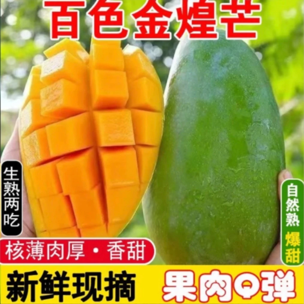 【带箱5斤】广西大青芒单果400g-1000g大果净重4.5斤到手4-7个A