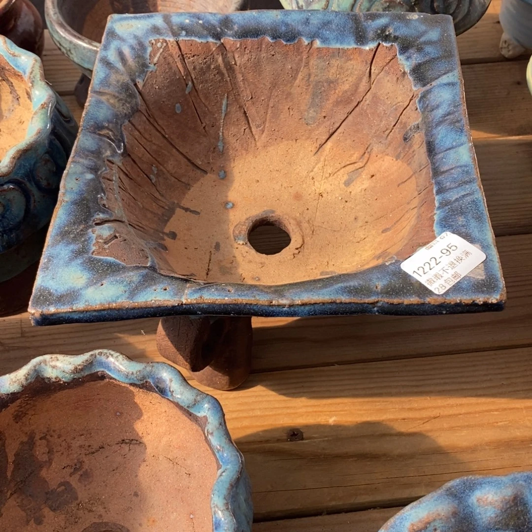 妞***妞95号多肉盆口径17