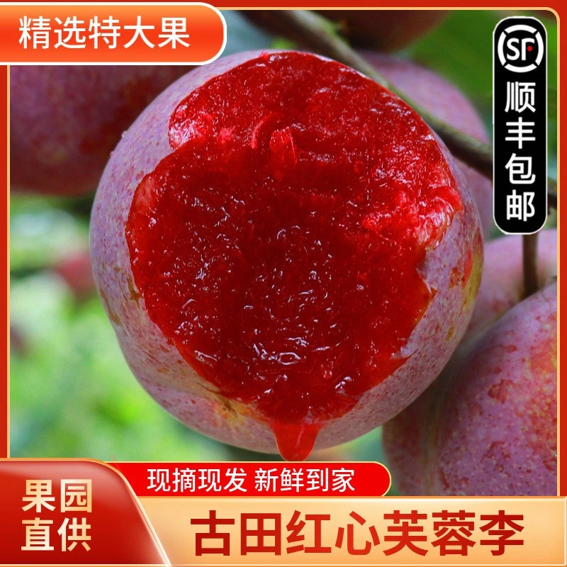 正宗古田芙蓉李三华李红心脱骨李子当季孕妇新鲜水果现摘顺丰速发