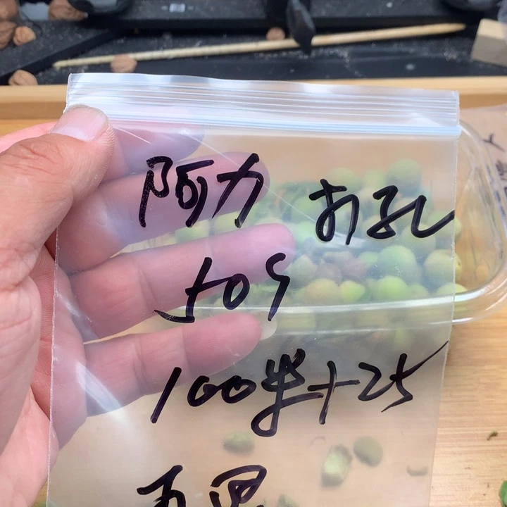 阿***力文玩核桃吊坠野生精品小核桃散籽