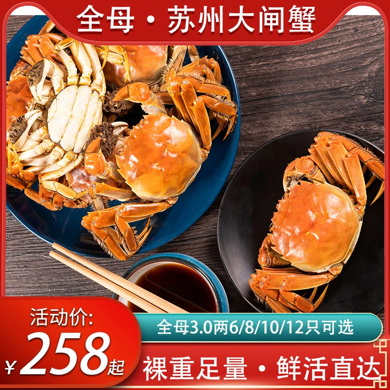 【活蟹】精品大全母蟹3.0两大闸蟹苏州螃蟹鲜活水产母蟹包邮多只选