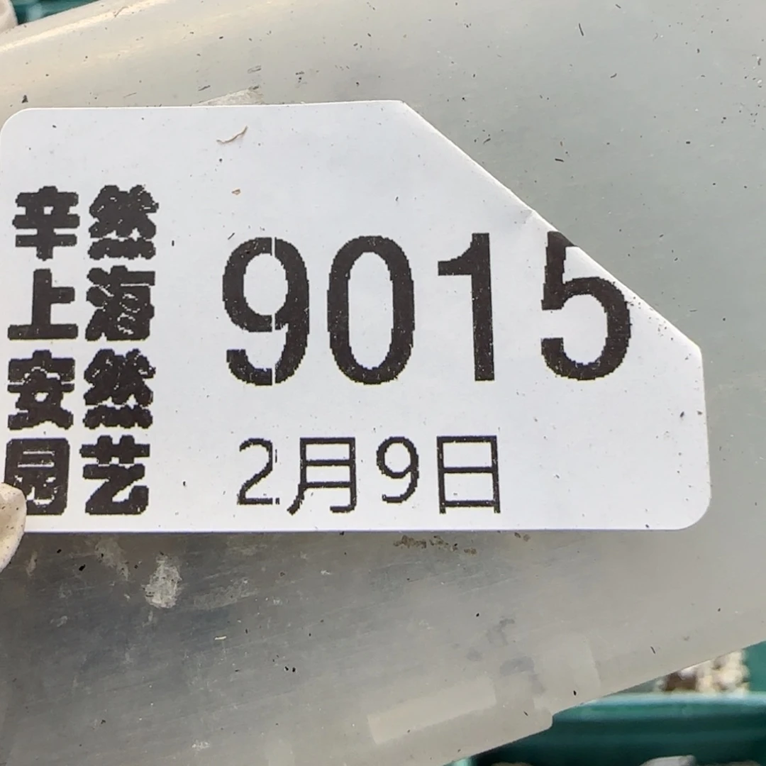 云*2.9，饼干，，9015