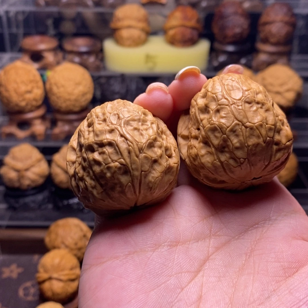 文玩核桃把件Z4金龟玉甲40+