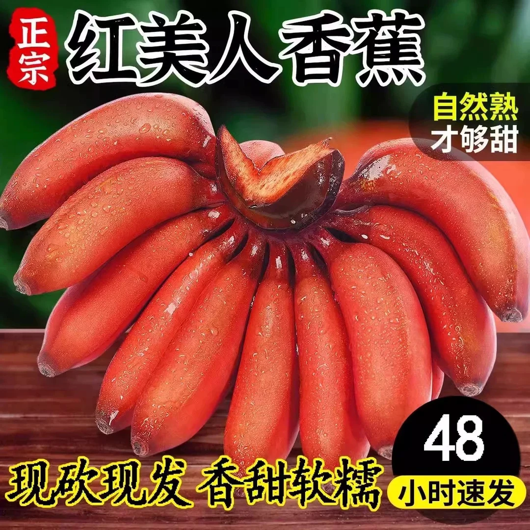 广西红美人香蕉软糯香甜新鲜果园现摘现发