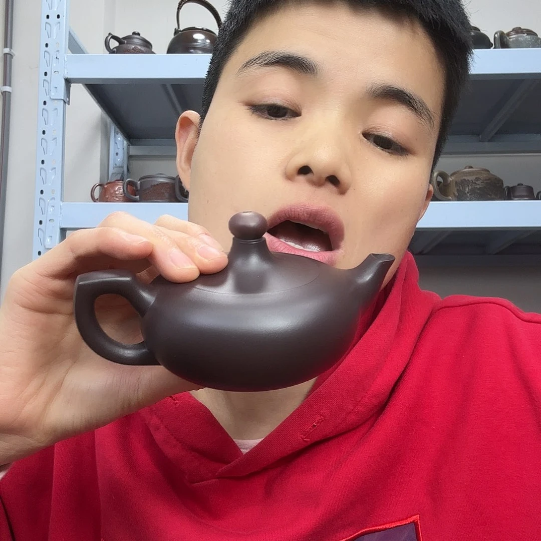 茶壶紫砂民间手艺人全手工制作