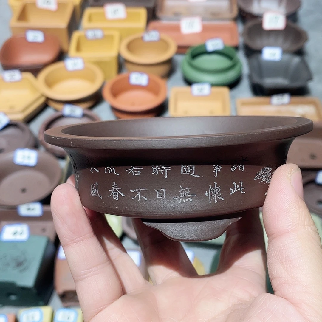 紫砂小盆10.5*3cmmm