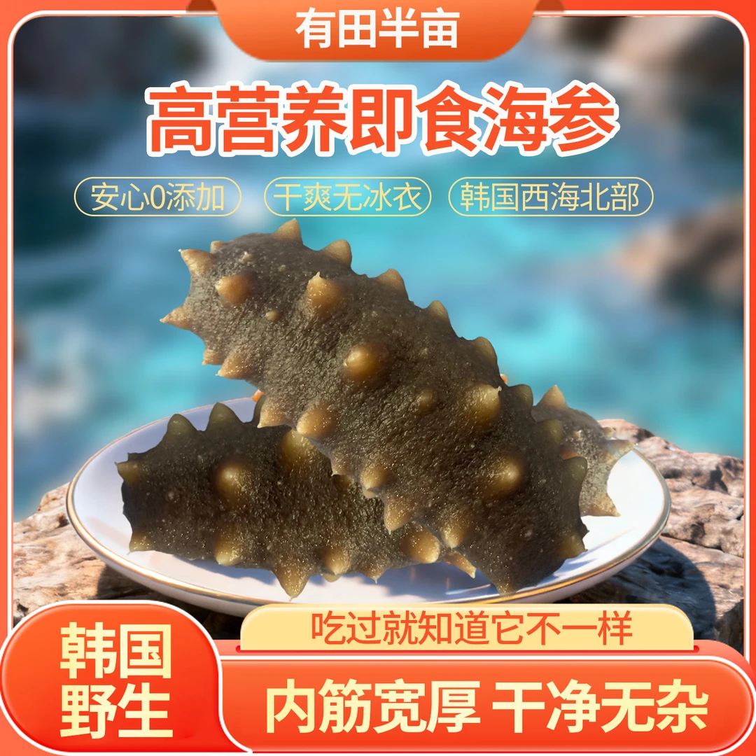 有田半亩一斤装纯野生即食海参8～12根