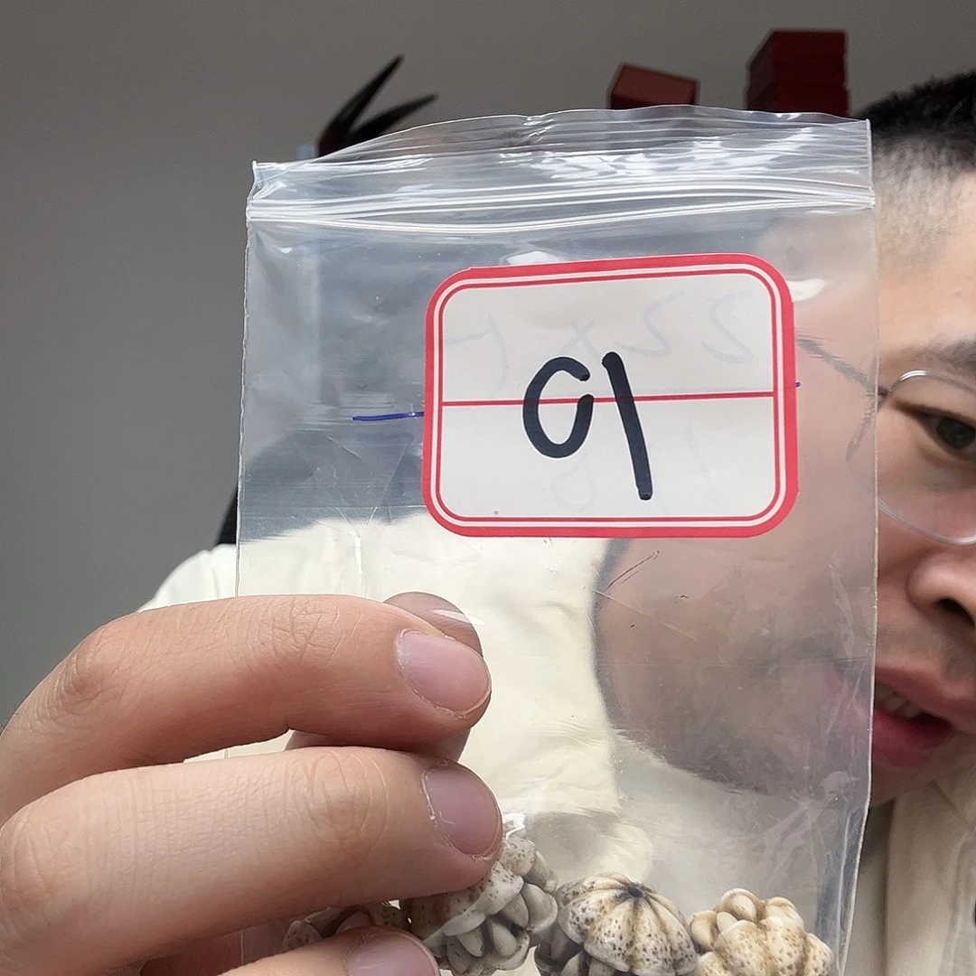 橄榄核手串/手链工艺品10