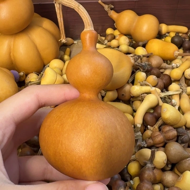 S****葫芦葫芦葫芦葫芦葫芦