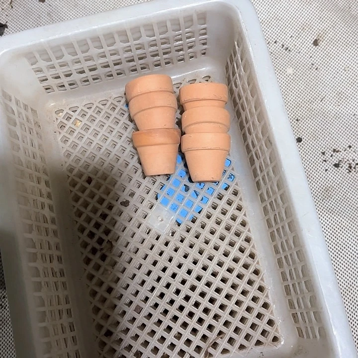 娇*c b c c v x c vb h305