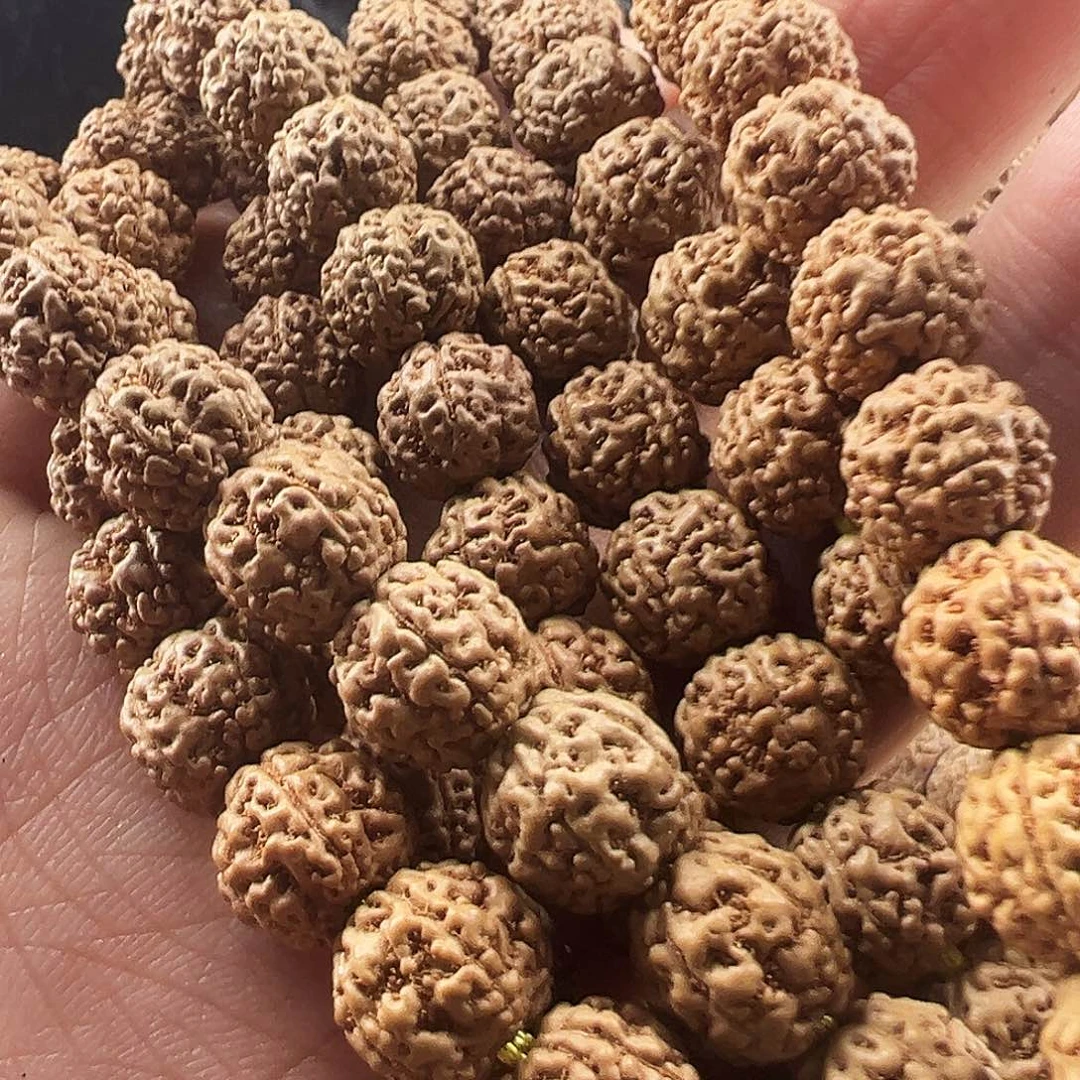 吊坠金刚菩提野龙8m
