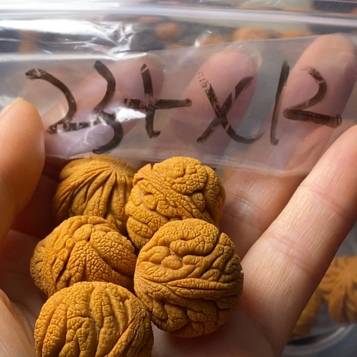 手串文玩核桃秦岭野生龙纹桃核23