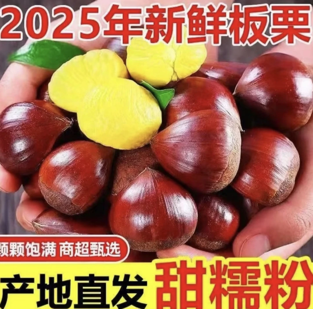 2025年生板栗新鲜农家现摘生栗子5斤装粉糯可口