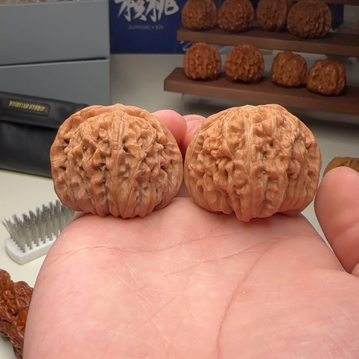 L42-41-34王铁军一代楼B16号