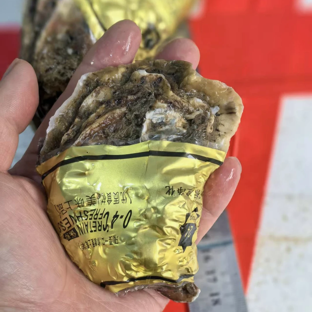 《港船精品海鲜》鲜活乳山生蚝（单个0.3斤）10个装