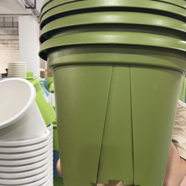 青山口40高35果绿色5个无托