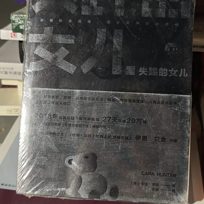失踪的女儿平装塑封库存书