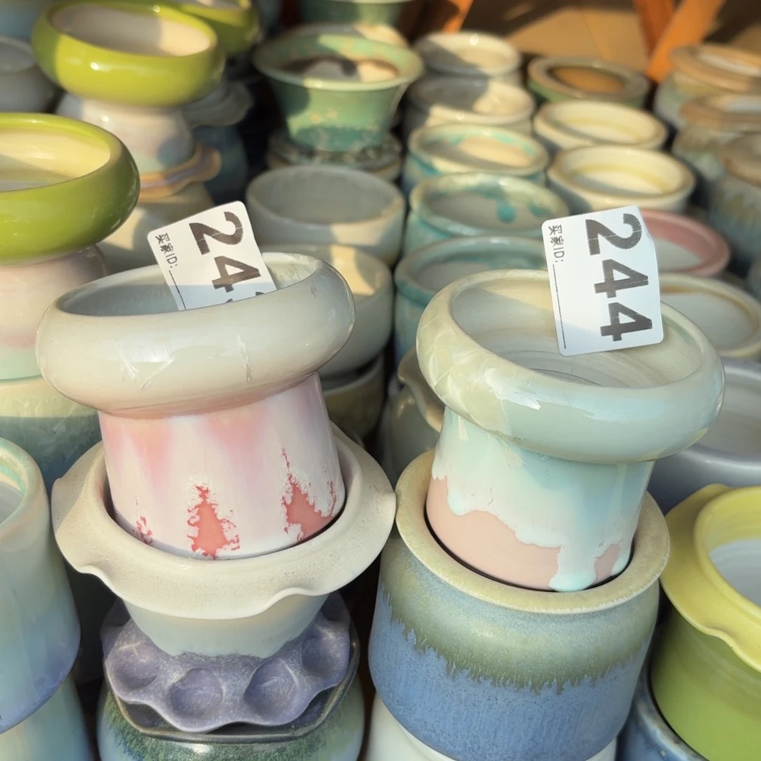 6***0景德镇多肉花盆243+244