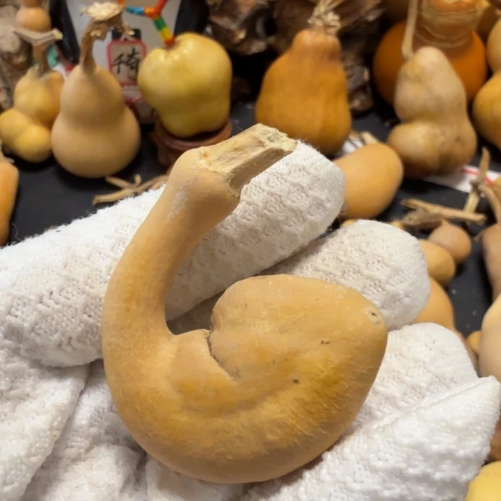 小***喜667777777888888999998