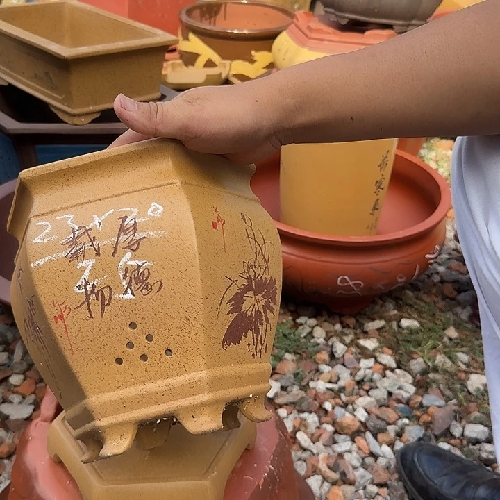 紫砂花盆紫砂花盆