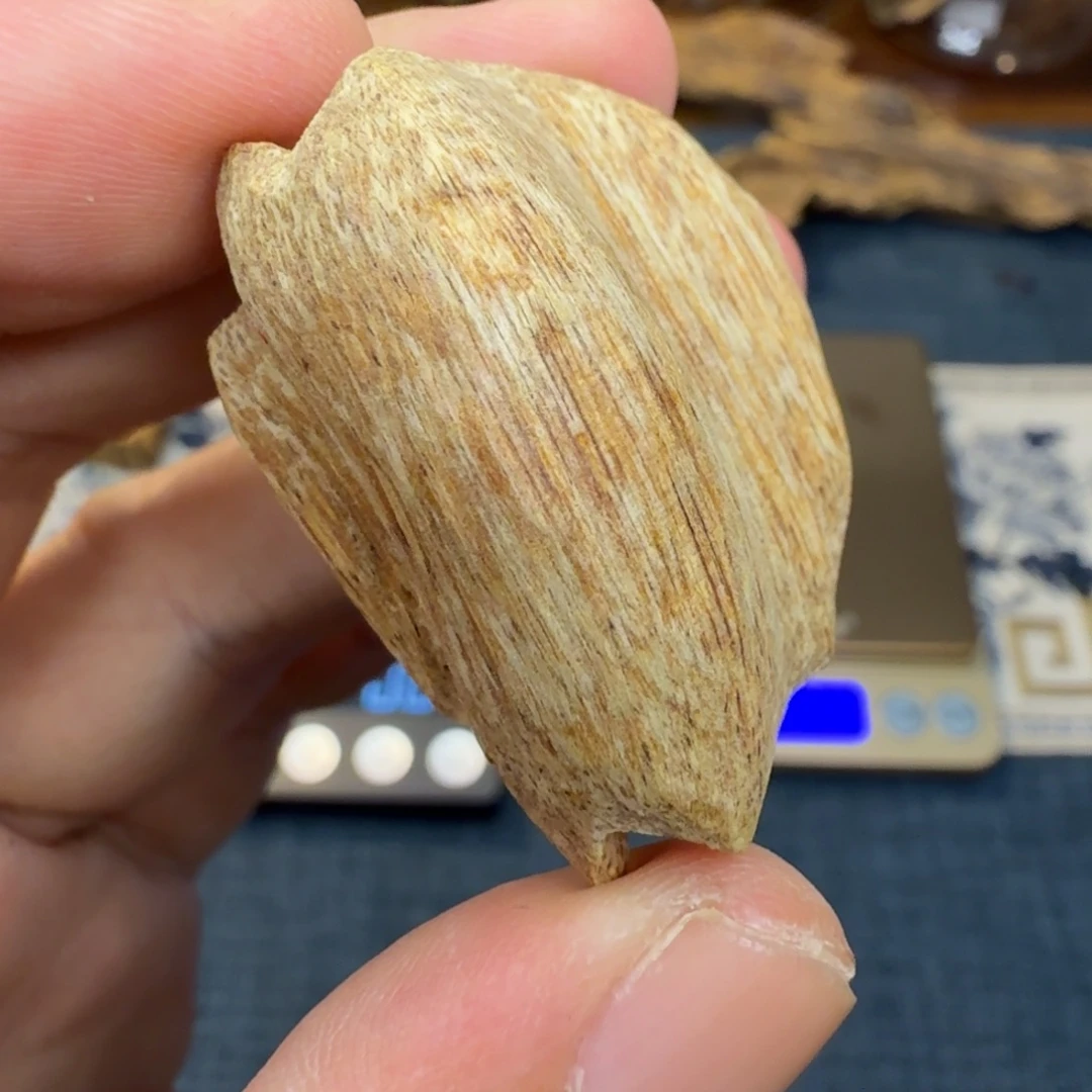 沉香广西博白大瓜子