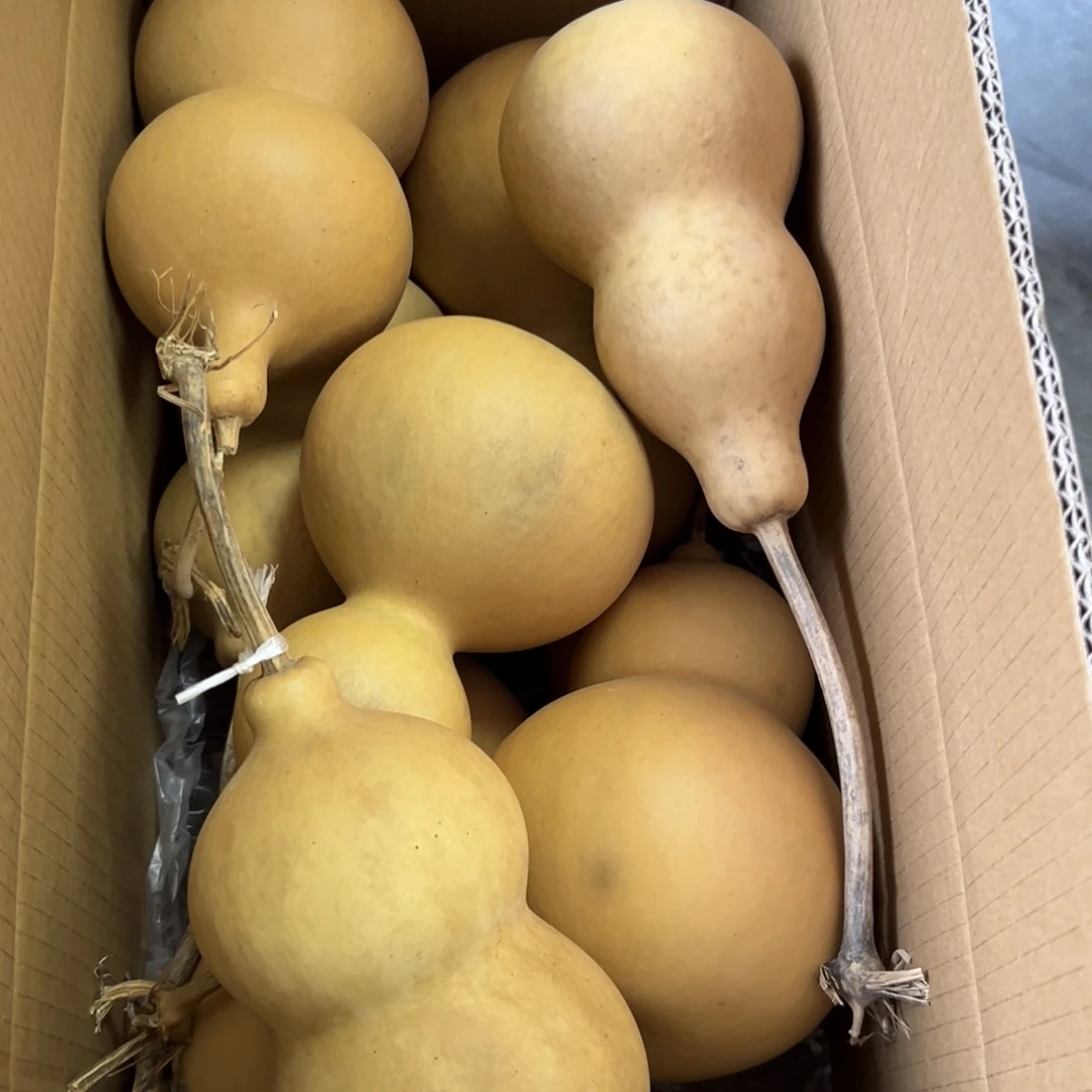 难****有机玻璃葫芦葫芦