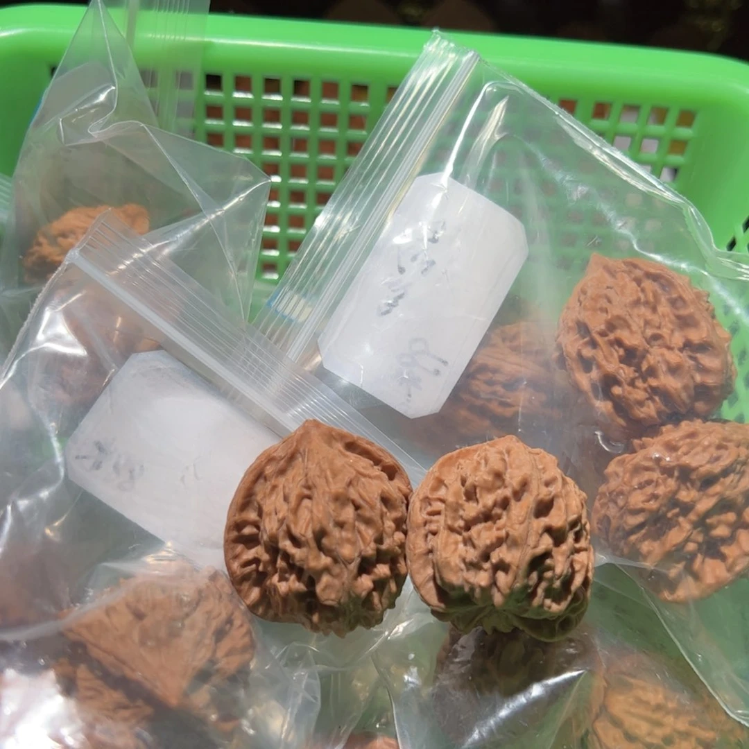 文玩核桃把件?****イ九对核桃