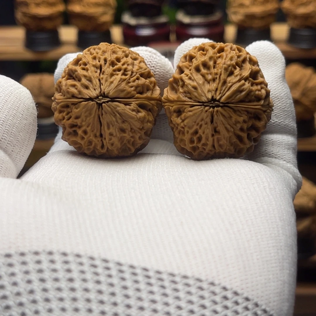 核桃37mm金龟子 47克 一物一图