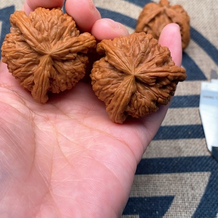 木质类小*?核桃核桃核桃